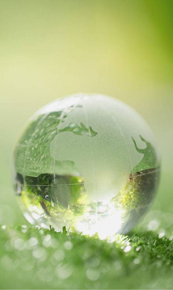 Global Footprint Image