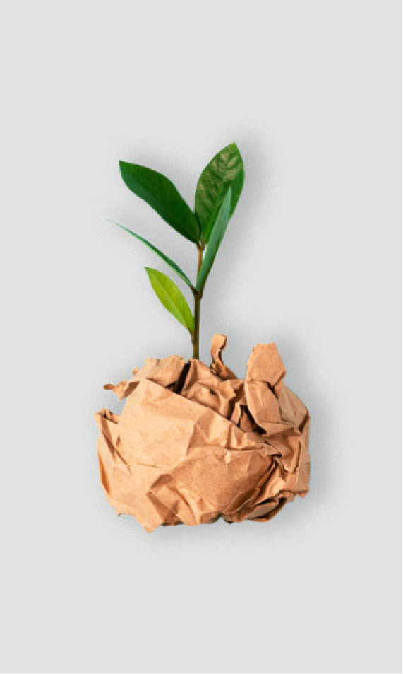 Sustainability Image